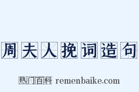 周夫人挽词造句是什么意思的图片